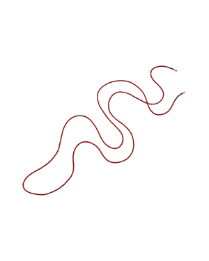 Coral Red Silk Rope | Silk and Yellow Gold