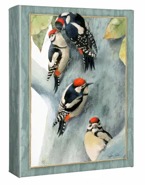 Family of Spotted Woodpeckers