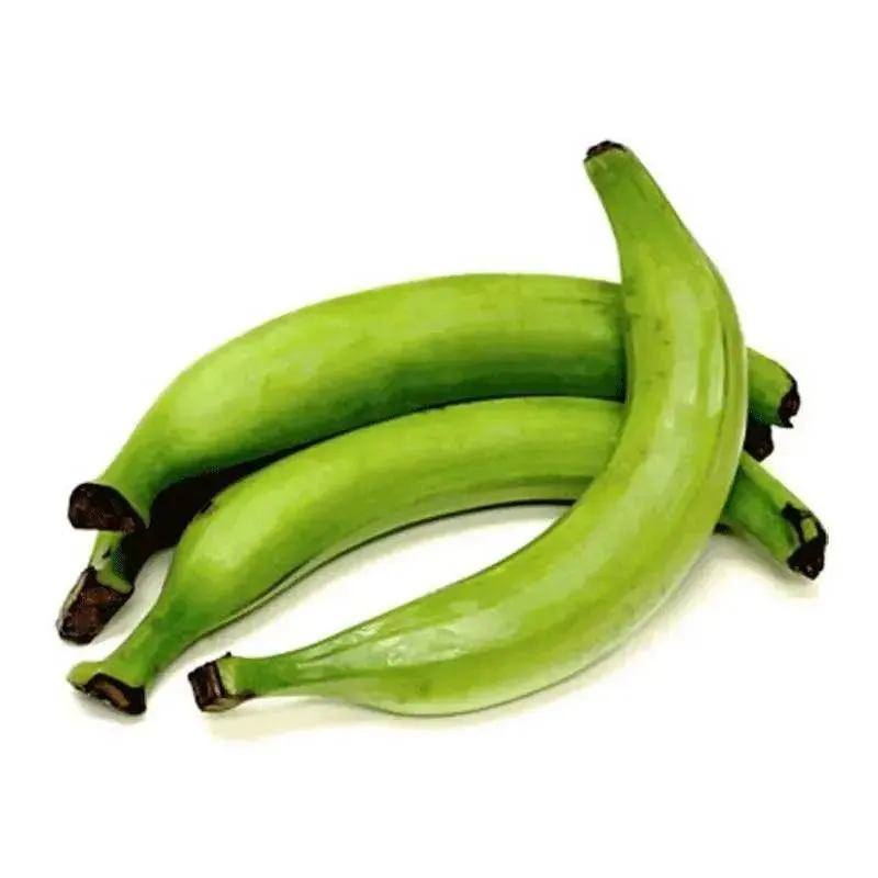 Fresh organic plantain, green and riped