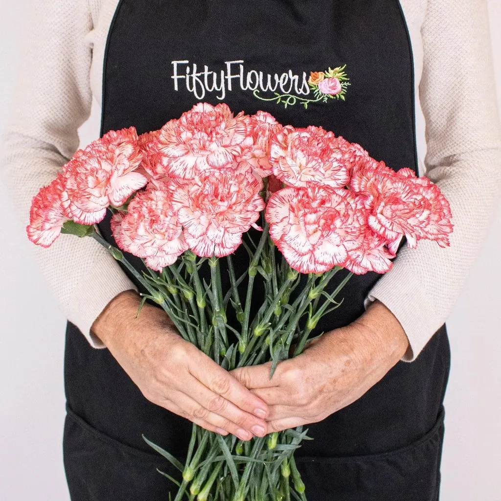Peppermint Carnation Flowers